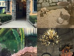 -海合安武汉极地海洋公园