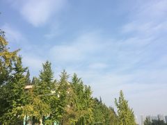 -四川大学(望江校区)