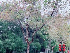 -颐和路民国时期公馆风貌区
