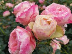 -人民公园(罗湖区)