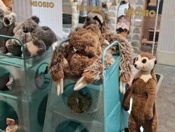 -奈尔宝·儿童乐园·亲子餐厅(华采天地店)