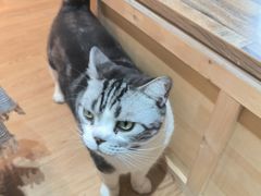 -小时光咖啡馆(开森度假森林店)