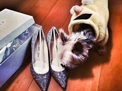-JIMMY CHOO(海港城精品店)