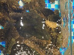 -映像威海·海鲜味道(市区店)