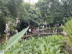 -成都市活水公园