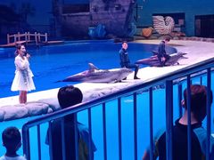 -华夏文旅海洋公园