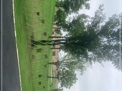 -盘龙城国家考古遗址公园