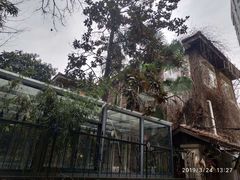 门面-爪哇空气酒吧