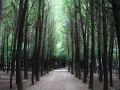 -捞渔河湿地公园