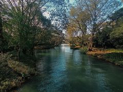 -西溪国家湿地公园