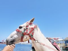 -海驴岛(荣成市)