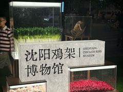 -沈阳铁西万象汇