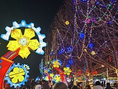 -武清南湖绿博园