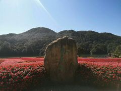 -广州市石门国家森林公园