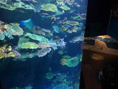 -暹罗海洋世界