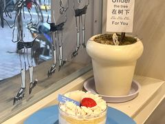 -海比甜店·意式手工冰激淋happy habit gelato
