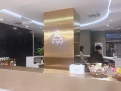 -G-SAGA形象设计