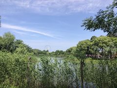 -无锡蠡湖国家湿地公园-蠡园