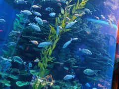 -泉城欧乐堡海洋极地世界