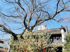 -南京民俗博物馆(甘熙故居)