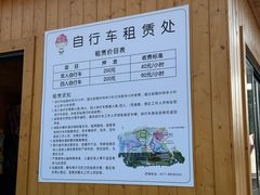 -径山花海