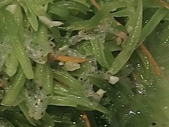 -东北大院·东北菜(三台子店)