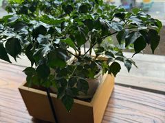 -五观堂素食(新华路店)