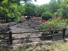 景点-海口火山口国家地质公园