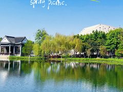 -映月湖公园