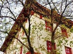 -四川大学(望江校区)