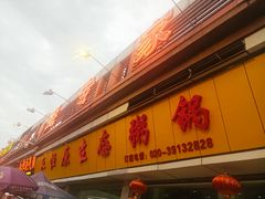 -蚝专家