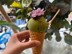 -野草莓自由市场