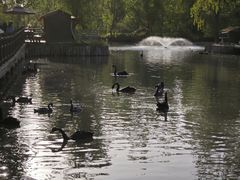 -溱湖国家湿地公园