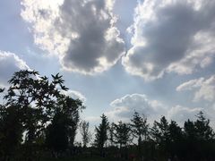 -白鹭湾湿地公园