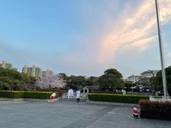 -高东镇樱花园
