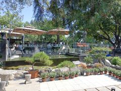-蘇河湾·新鲁菜·泰山宴(泰山店)
