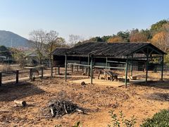 -无锡动物园·太湖欢乐园