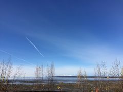 -Tony Knowles Coastal Trail