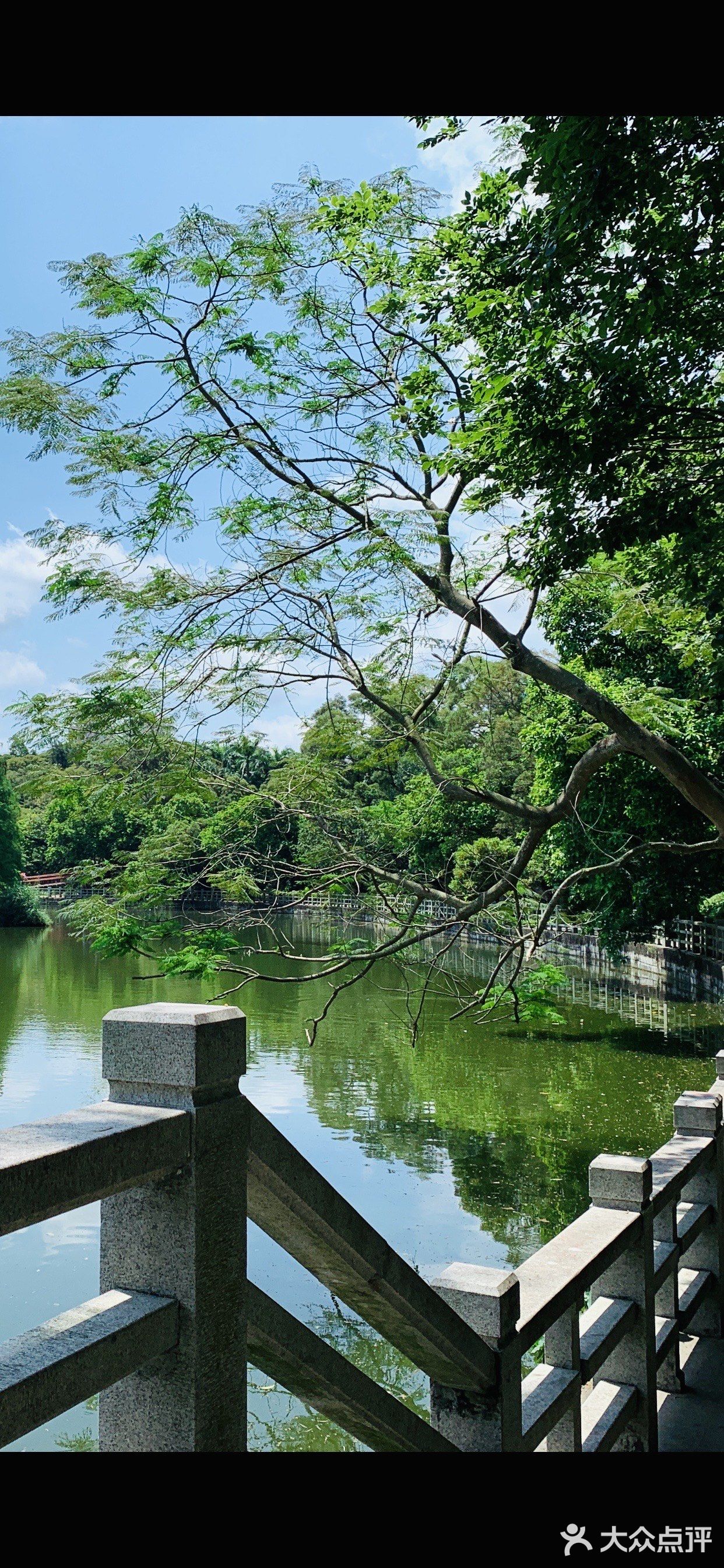 適合親子游的東湖公園