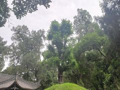 -武侯墓风景区