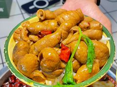 -晓彭肥肠鸡(春熙路店)