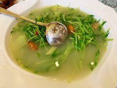 上汤豆苗-岭南海晏楼(东晓南店)
