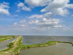 -盐城丹顶鹤湿地生态旅游区