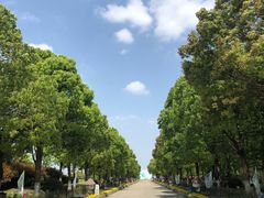 -上海都市菜园