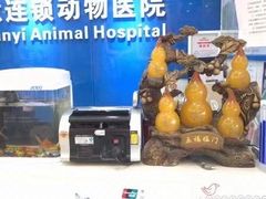 -全心全意连锁动物医院·微创中心·内科急重症·心脏专科(丰管路店)
