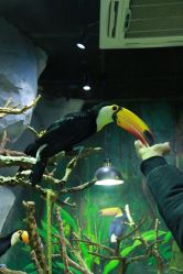 -Zoolung Zoolung动物主题公园(海信广场店)