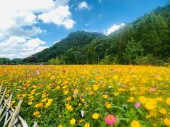 -贵阳市花溪国家城市湿地公园