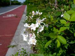 -敬亭山风景名胜区