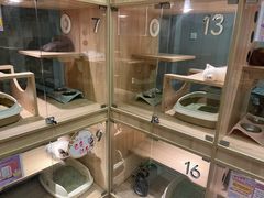 -BABIT巴比特宠物(MOMOPARK店)