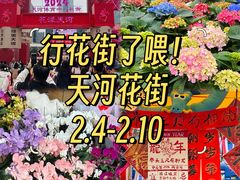 -天河体育中心